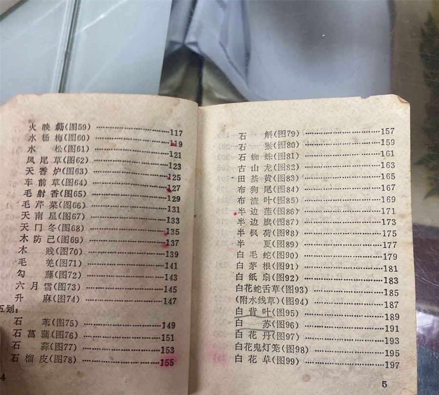 冰激凌的英文单词怎么读 冰激凌的英文单词怎么念 冰激凌的英文单词怎么读 冰激凌的英文单词怎么念