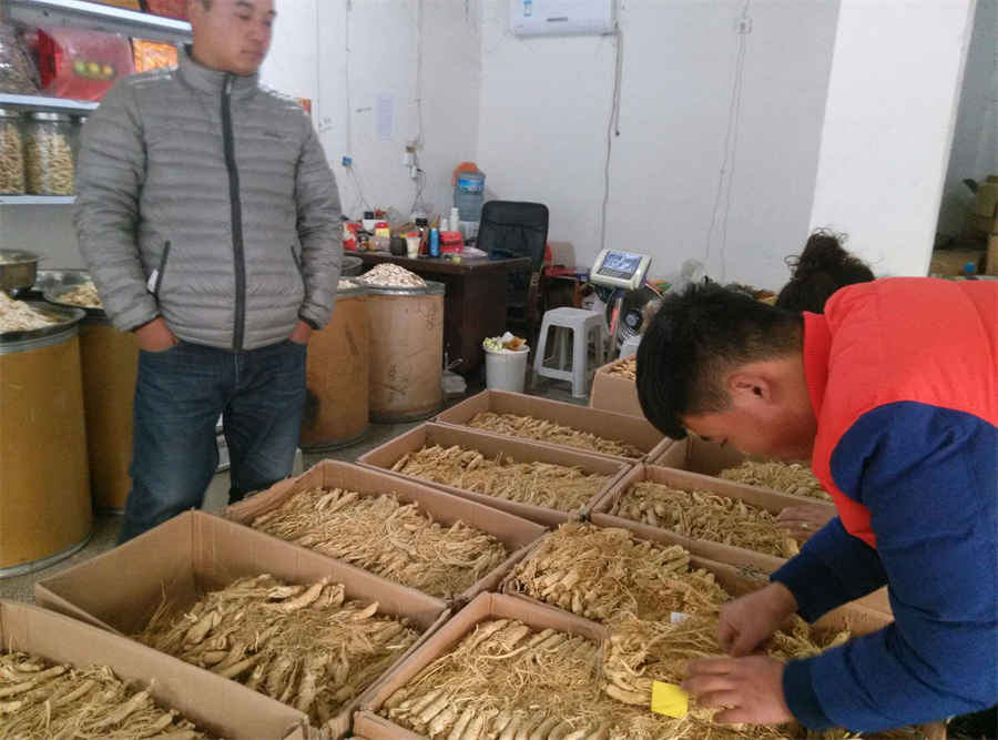珍贵黑枸杞的两种鉴别方法中药材真假好坏鉴别方法 珍贵黑枸杞的两种鉴别方法中药材真假好坏鉴别方法