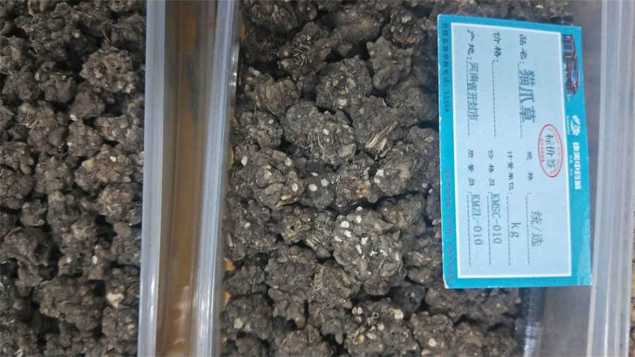 鹿血晶的功效与作用 鹿血晶的功效与作用禁忌 鹿血晶的功效与作用 鹿血晶的功效与作用禁忌