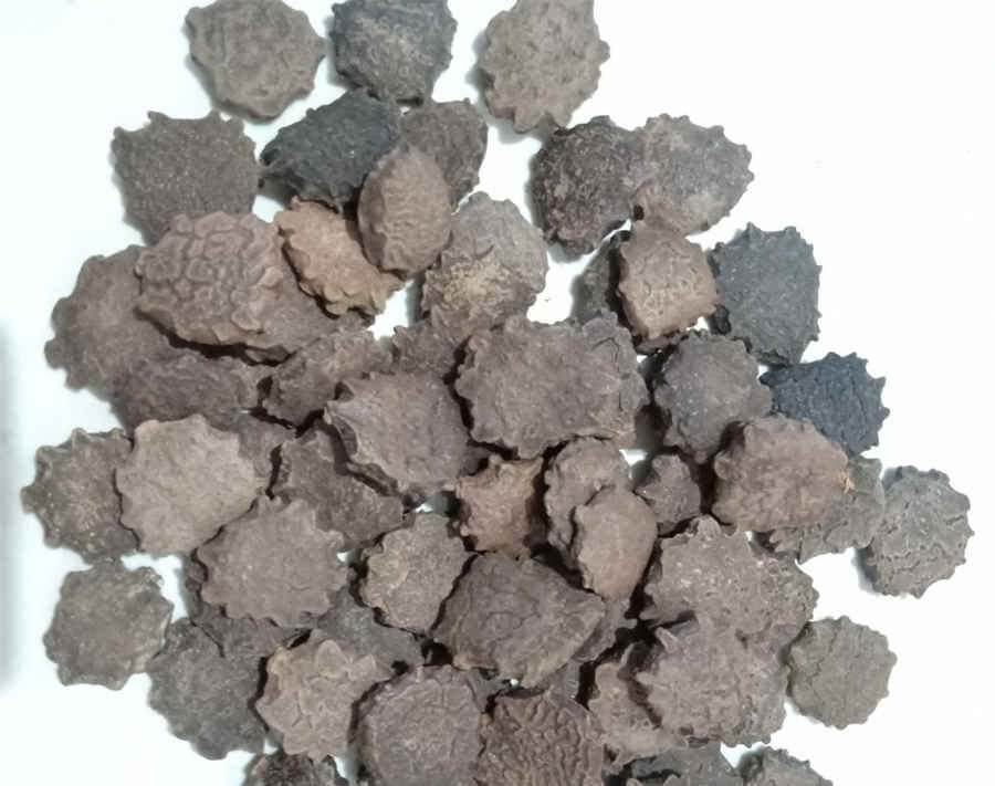 星座配对:唐嫣与罗晋是相当理想的一对 唐嫣和罗晋最浪漫的事 星座配对:唐嫣与罗晋是相当理想的一对 唐嫣和罗晋最浪漫的事