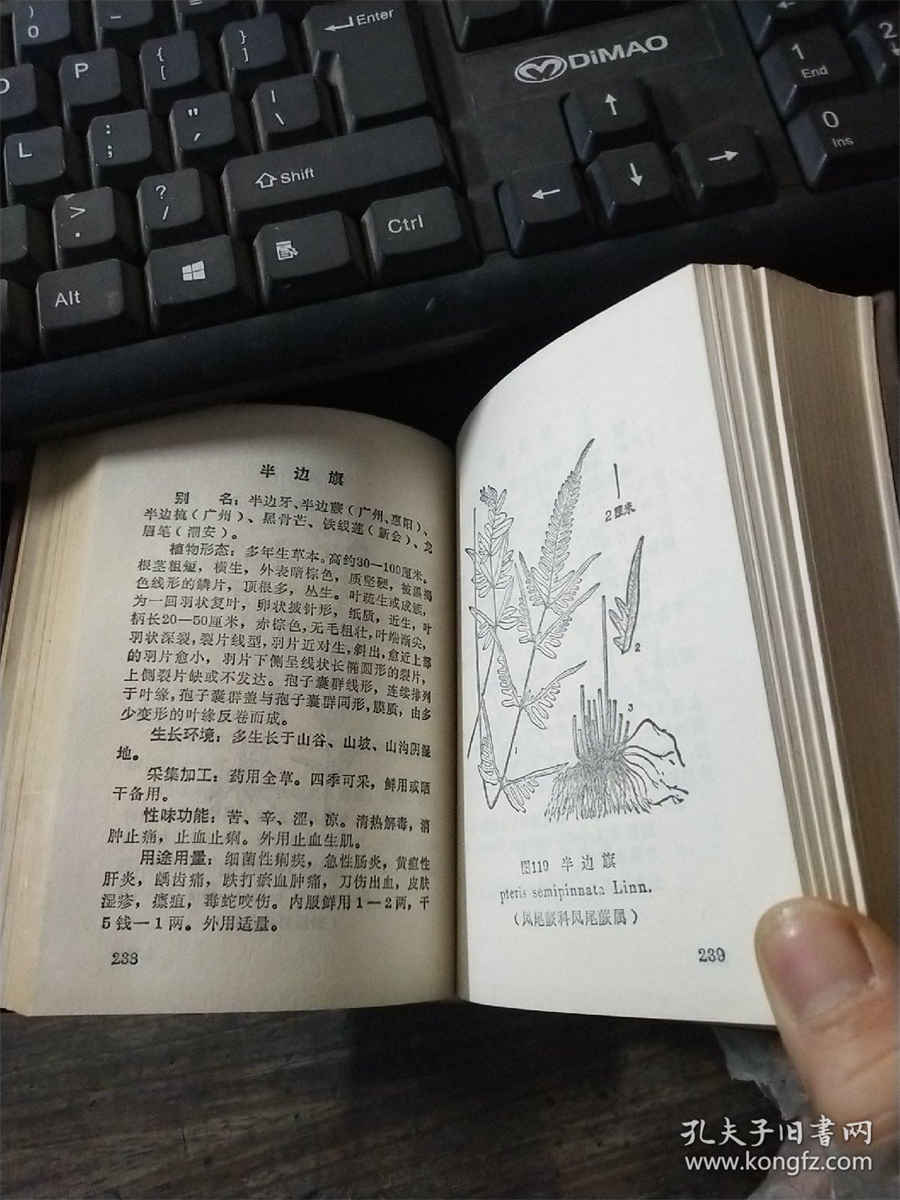 助孕有什么方法 3个简单有效的助孕方法 助孕有什么方法 3个简单有效的助孕方法
