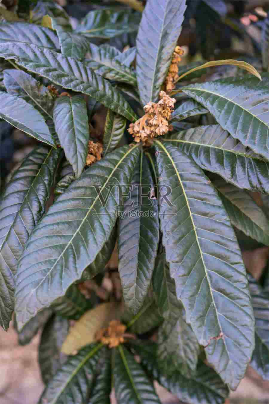 追求失败别放弃,记住表白失败后的二次吸引,展开二次追求! 追求失败别放弃,记住表白失败后的二次吸引,展开二次追求!