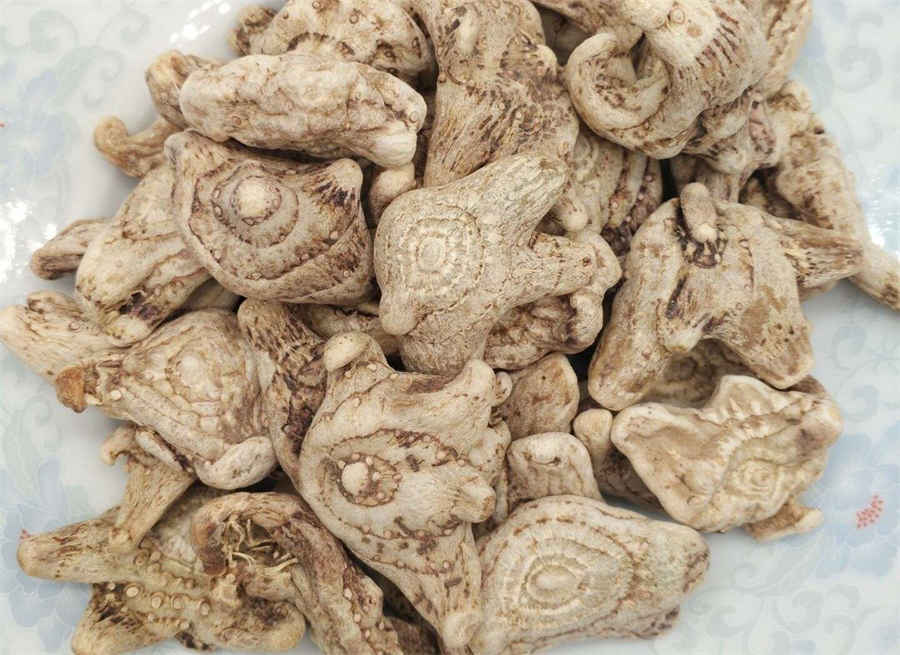 野三七怎么吃?教你野三七的食用方法三七怎么吃教你三七粉的正确吃法及食用方法三七花的吃法大全 野生三七怎么样吃最好 野三七怎么吃?教你野三七的食用方法三七怎么吃教你三七粉的正确吃法及食用方法三七花的吃法大全 野生三七怎么样吃最好