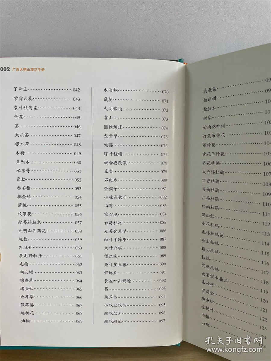藏红花一克价格多少钱中药材价格 藏红花要多少钱一克 藏红花一克价格多少钱中药材价格 藏红花要多少钱一克