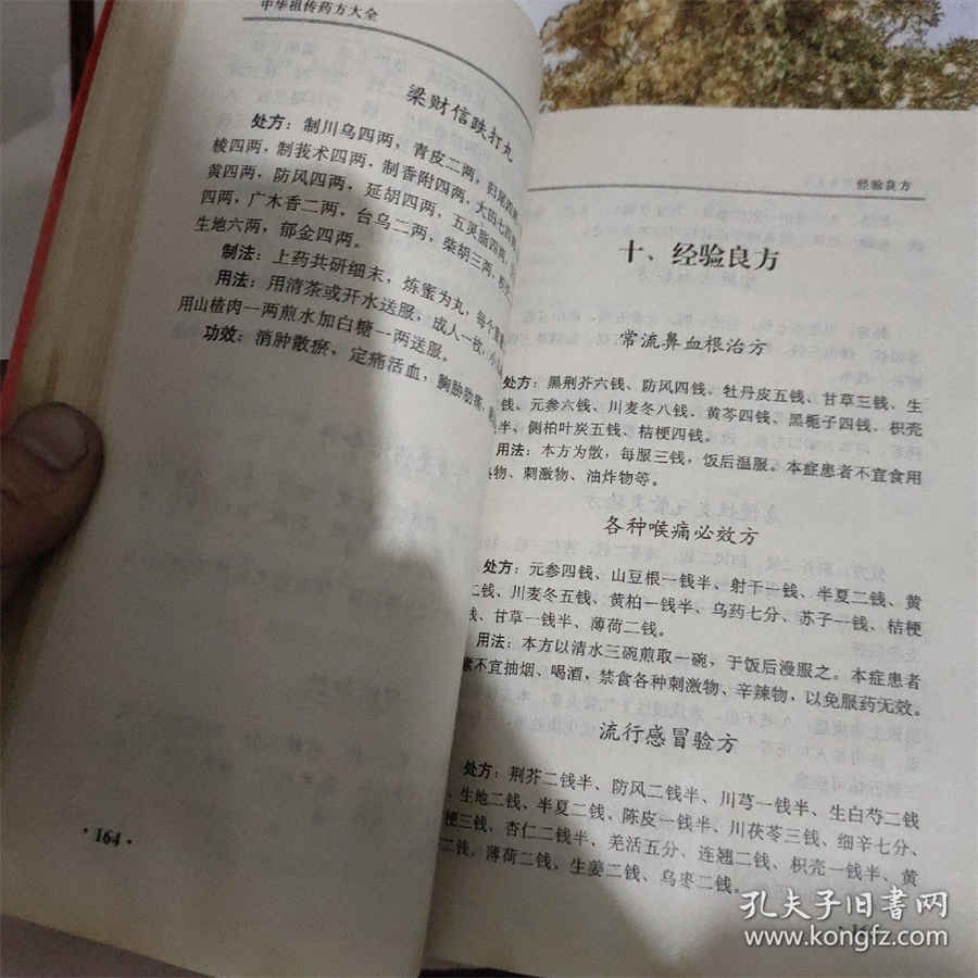 狗狗繁殖什么特点(狗狗的繁殖特点) 狗狗的繁殖能力有多强 狗狗繁殖什么特点(狗狗的繁殖特点) 狗狗的繁殖能力有多强