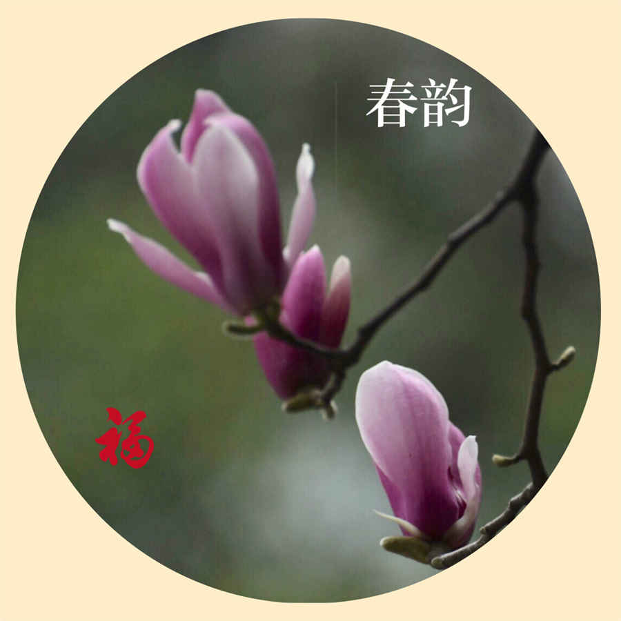 乳腺增生中医治疗 中医治疗乳腺增生 乳腺增生中医治疗 中医治疗乳腺增生