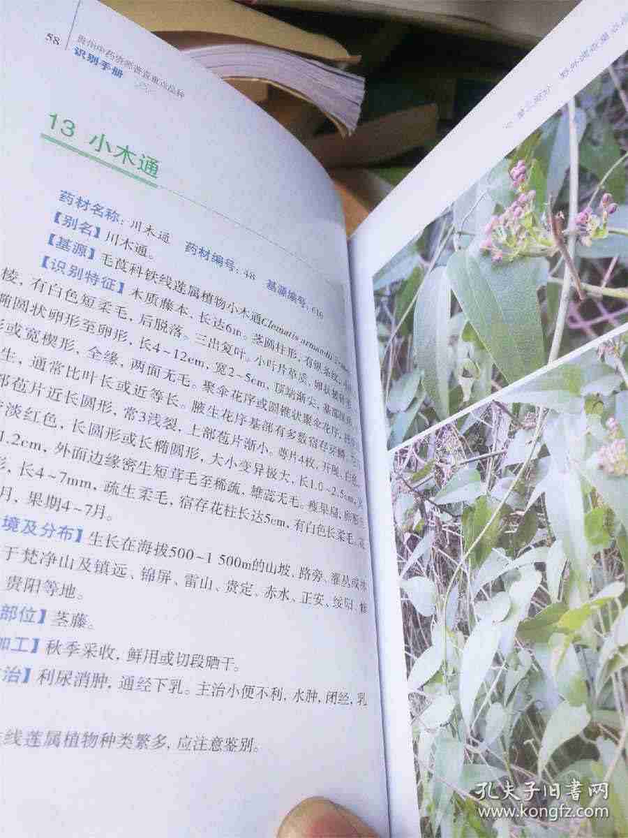 女人梦见牙齿掉了寓意是什么意思 女人梦见牙齿掉了寓意是什么意思
