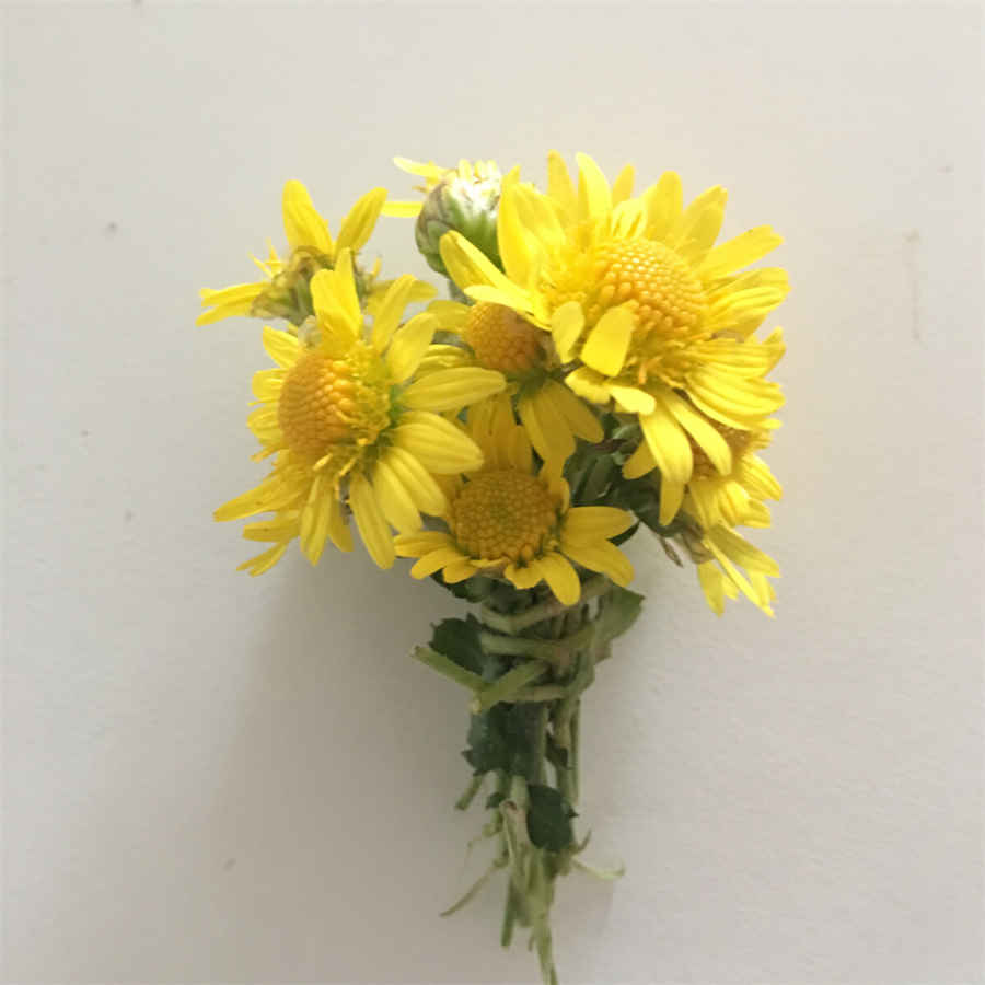 离婚证丢了怎么办,离婚证丢失怎么补办?离婚办理郑州婚姻律师 离婚证丢失怎么办理离婚手续 离婚证丢了怎么办,离婚证丢失怎么补办?离婚办理郑州婚姻律师 离婚证丢失怎么办理离婚手续