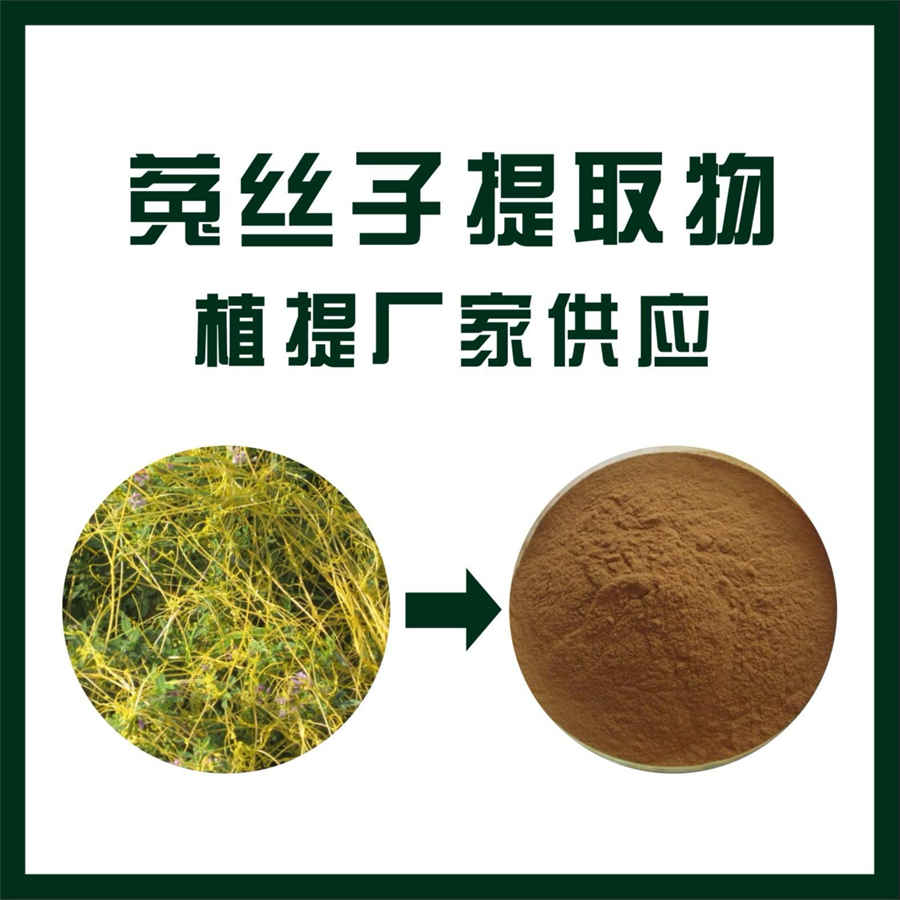 白狮子 白狮子 白狮子 白狮子