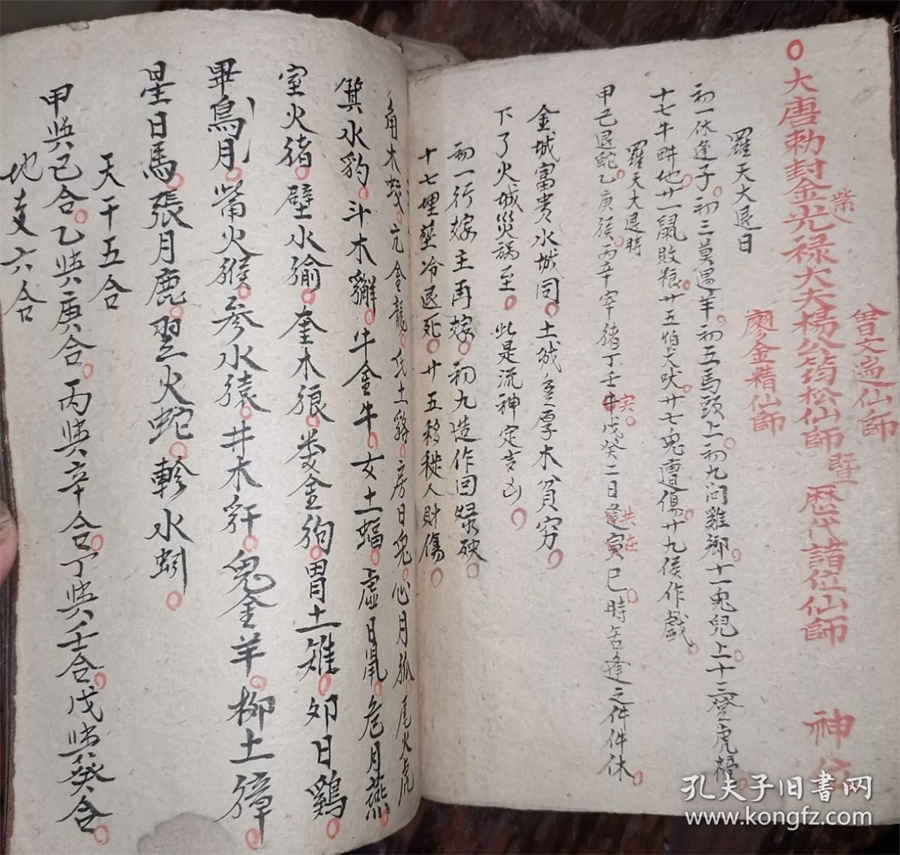 新鲜黄精价格多少钱一斤中药材价格 黄精多少钱 新鲜黄精价格多少钱一斤中药材价格 黄精多少钱