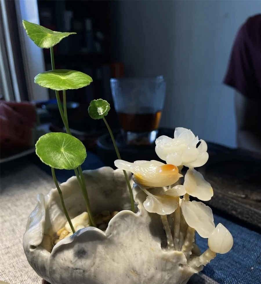 什么是初吻? 什么是初吻 什么是初吻? 什么是初吻