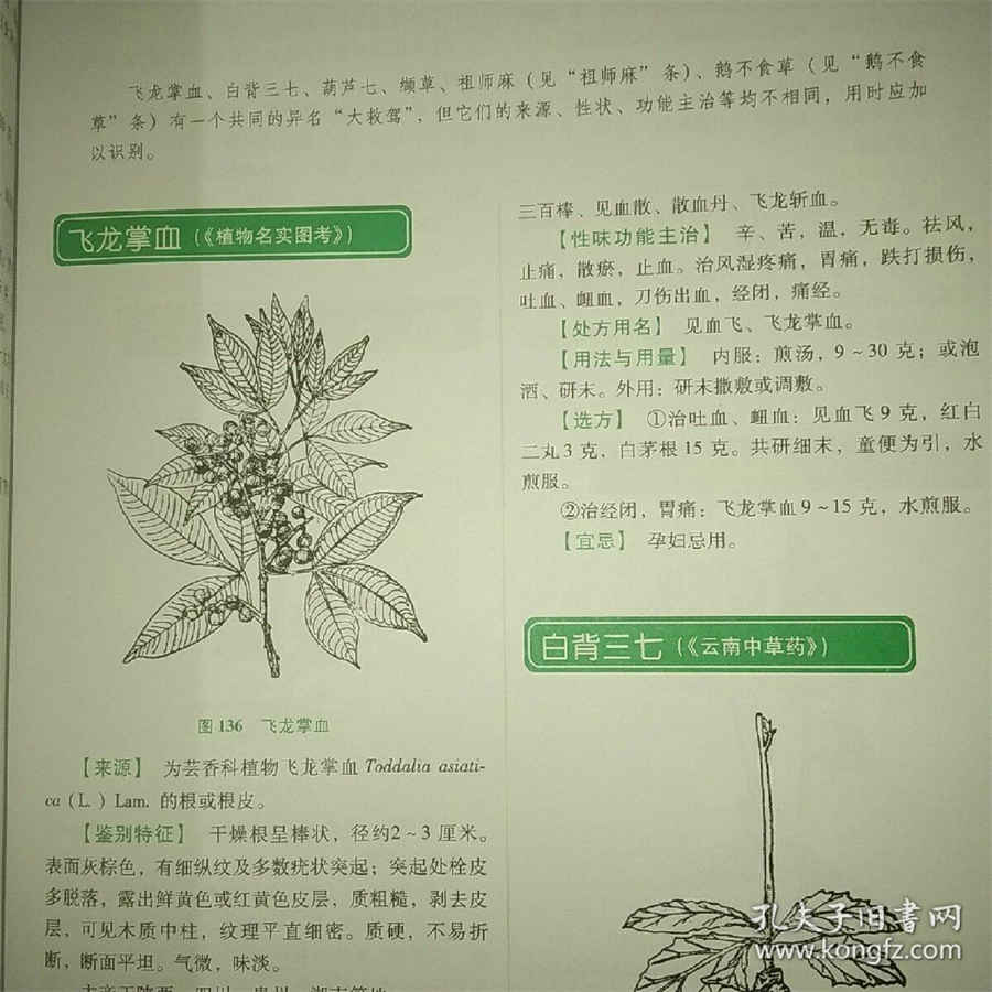 新农村宅基地新政策出台(新土地法宅基地新规定) 新农村宅基地新政策出台(新土地法宅基地新规定)