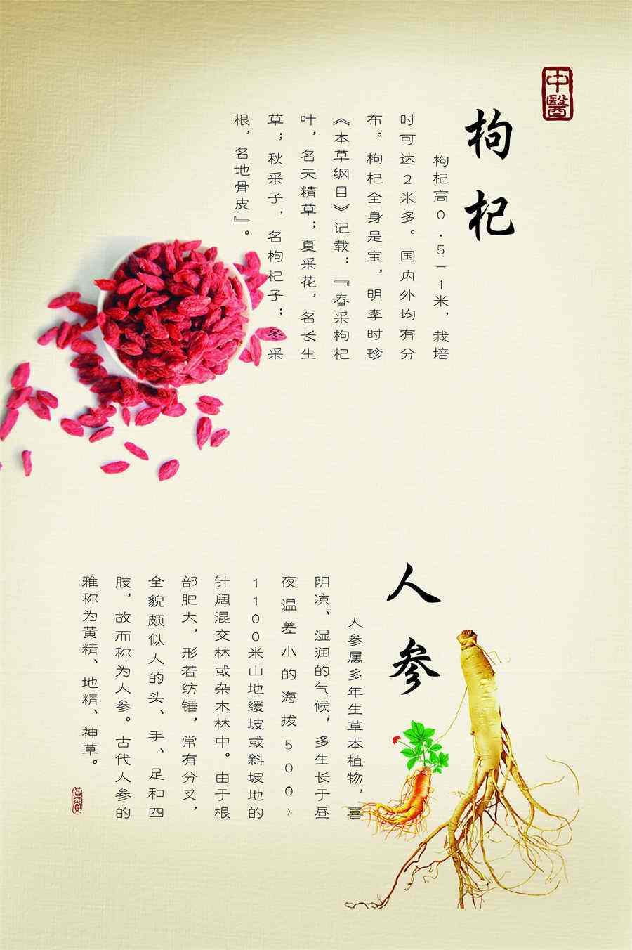 中国乒乓球运动员有哪些人 中国乒乓球运动员有哪些人