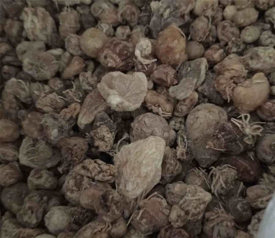 华北地区包括哪些省 华北地区包括哪些省 华北地区包括哪些省 华北地区包括哪些省
