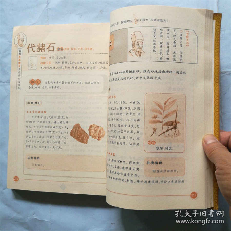 奥运会的英文是什么 奥运会的英文是什么