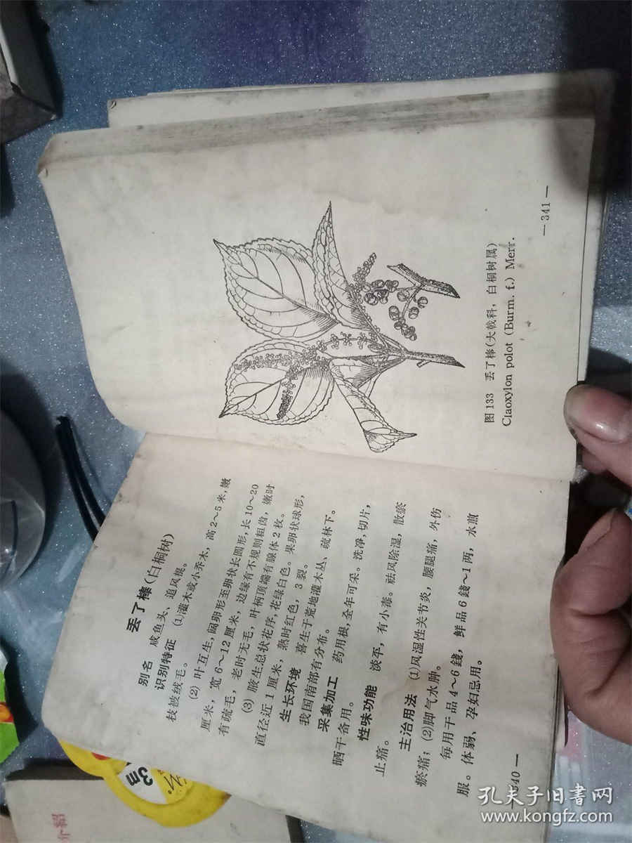 快乐是一种能力:学会快乐学习和工作 快乐是一种智慧更是一种能力 快乐是一种能力:学会快乐学习和工作 快乐是一种智慧更是一种能力