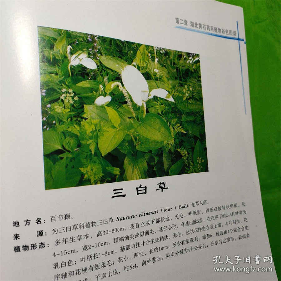 一般民事赔偿标准有哪些(民事纠纷赔偿明细) 民事赔偿都有哪些 一般民事赔偿标准有哪些(民事纠纷赔偿明细) 民事赔偿都有哪些