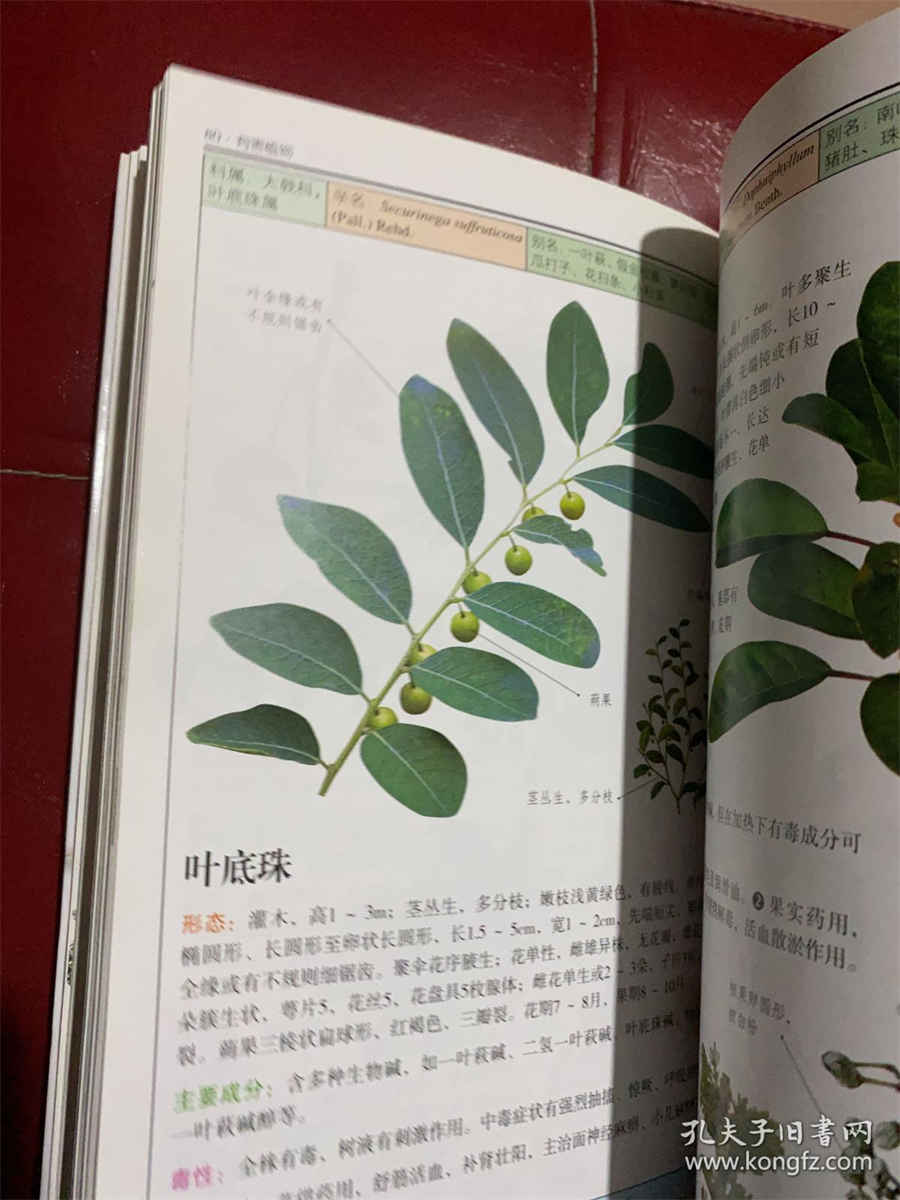 十款值得买的家用除湿机排行榜(小型家用除湿机推荐) 十款值得买的家用除湿机排行榜(小型家用除湿机推荐)