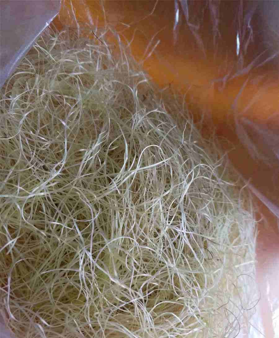 去澳门工作一定要交劳务费吗?(去澳门打工要交多少劳务费) 去澳门务工怎么样 去澳门工作一定要交劳务费吗?(去澳门打工要交多少劳务费) 去澳门务工怎么样