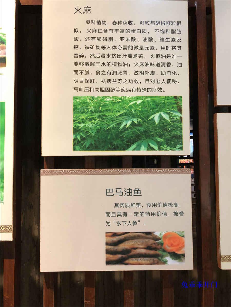 人参的功效与作用吃法中药材功效大全 人参的功效与作用苹果绿 人参的功效与作用吃法中药材功效大全 人参的功效与作用苹果绿