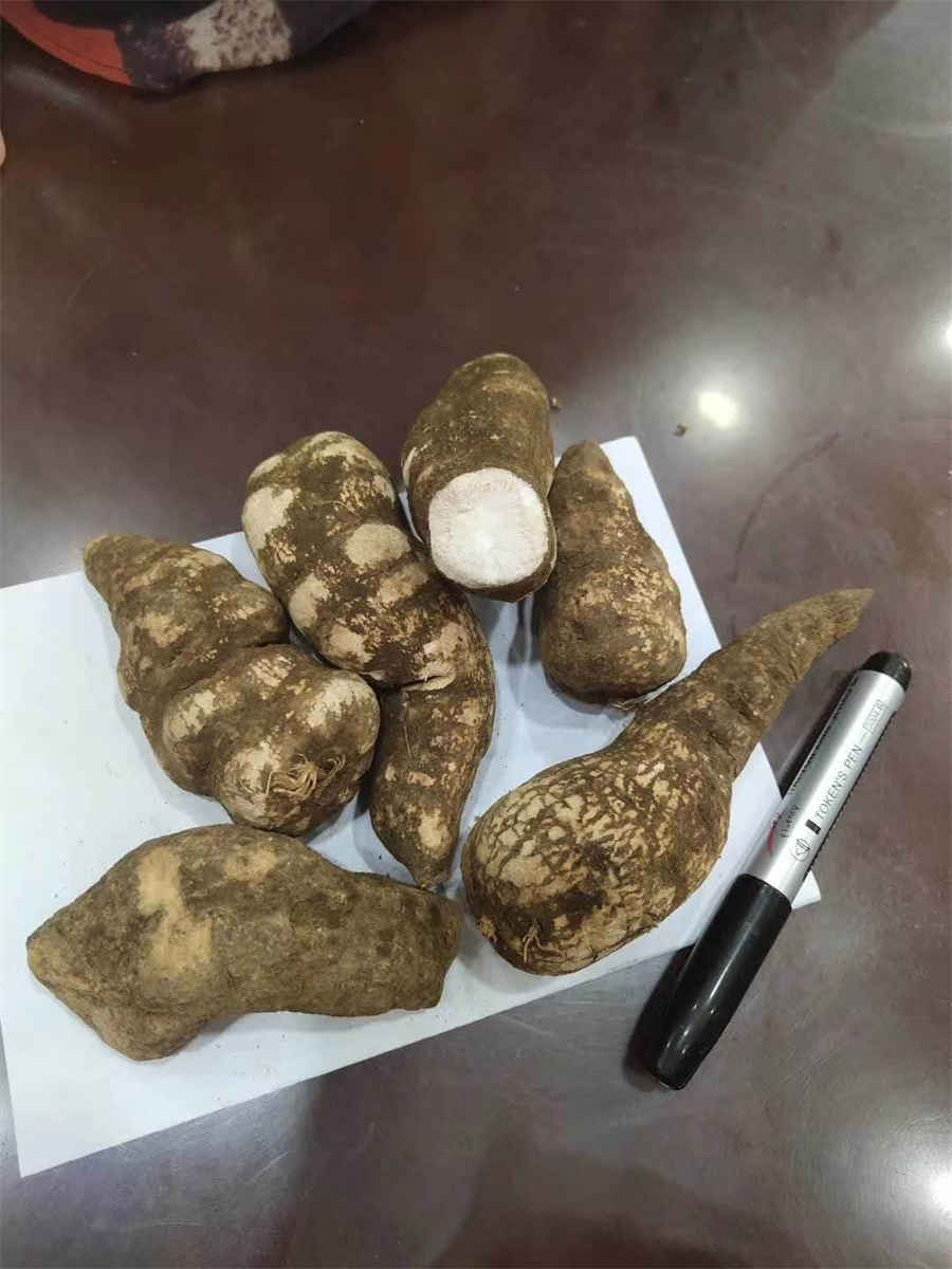 生化汤 生化汤方歌 生化汤 生化汤方歌