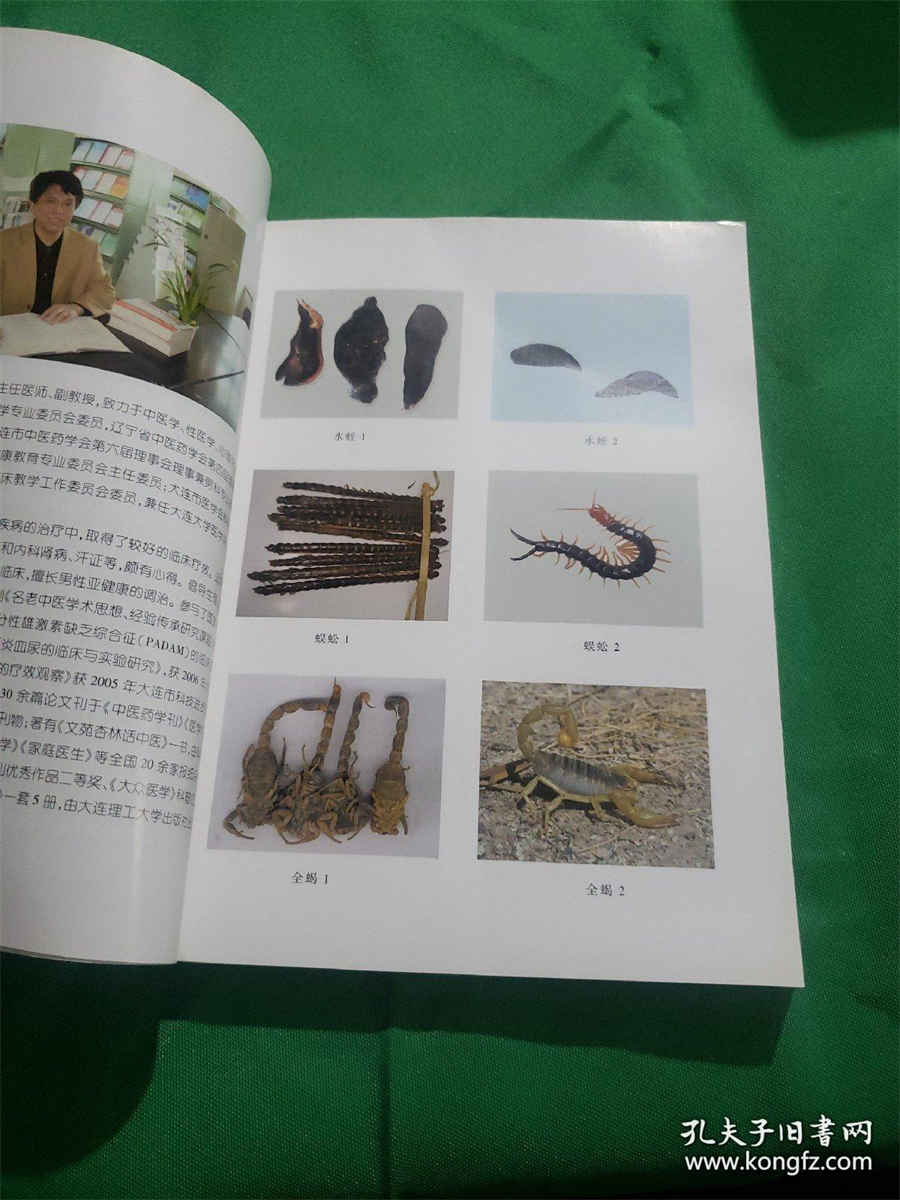 肺 肺 肺 肺