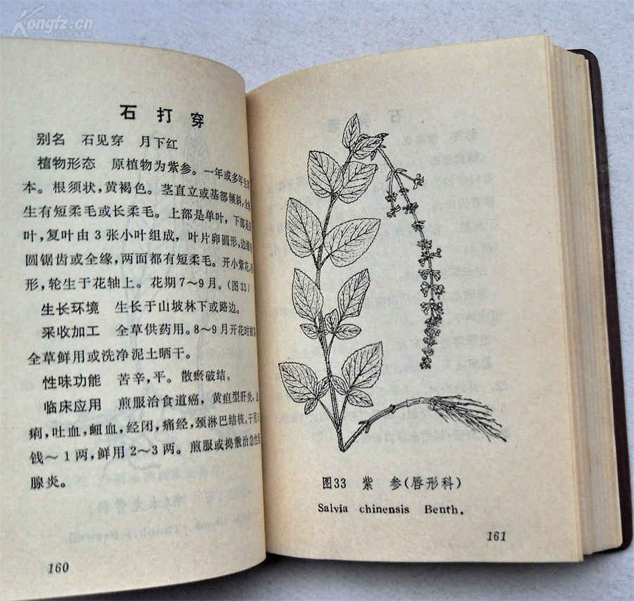 铃医(走方医) 铃医秘方大全 铃医(走方医) 铃医秘方大全