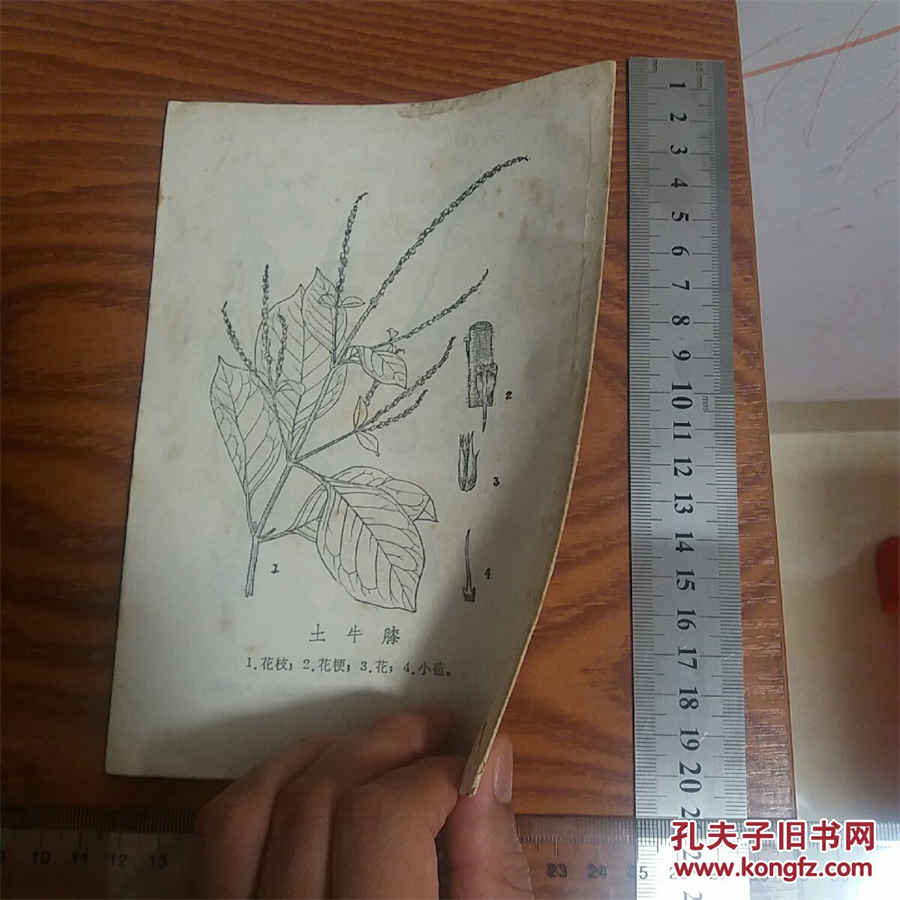 喉痈 喉痈 喉痈 喉痈