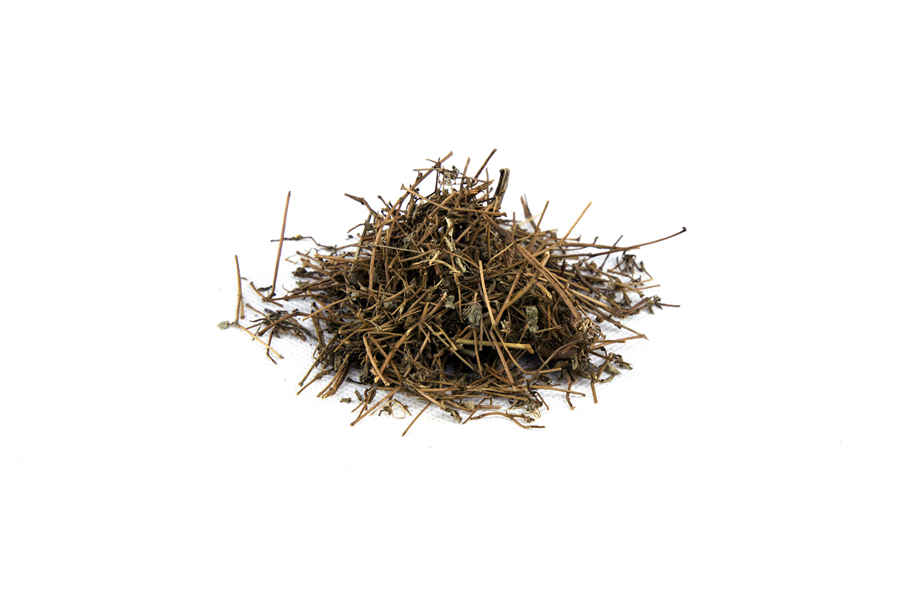 药茴香 药茴香 药茴香 药茴香