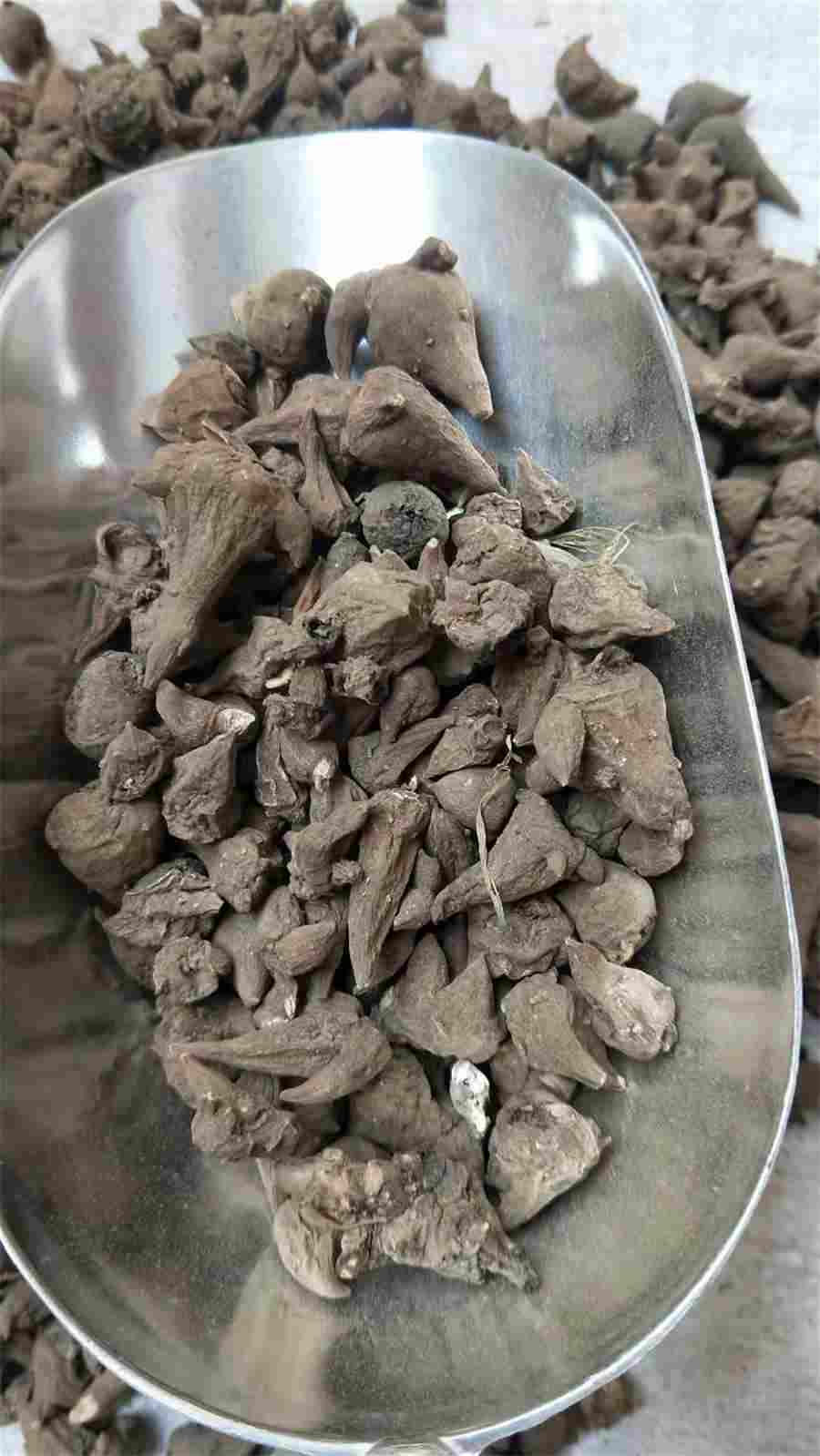 人参的7大吃法及5大误区中药材使用方法中药材的正确吃法 人参怎么吃法药效果最好 人参的7大吃法及5大误区中药材使用方法中药材的正确吃法 人参怎么吃法药效果最好