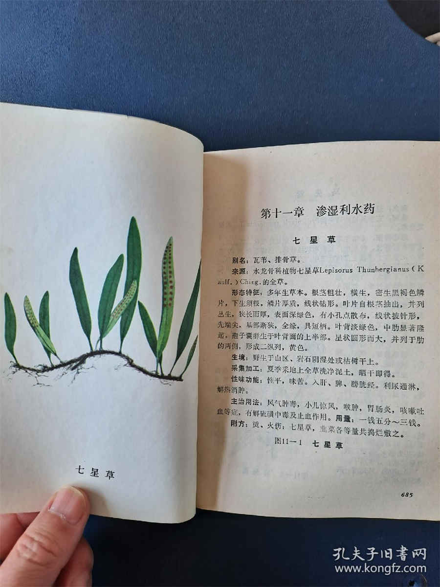 北京户口有什么好处(北京户口的4大优势) 北京户口有什么好处(北京户口的4大优势)