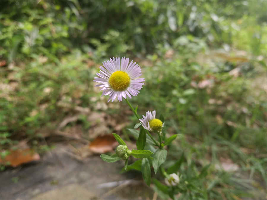 接吻教学,男生招架不住的撩法 接吻教学,男生招架不住的撩法
