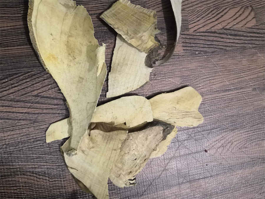欧绵马 马素 欧绵马 马素