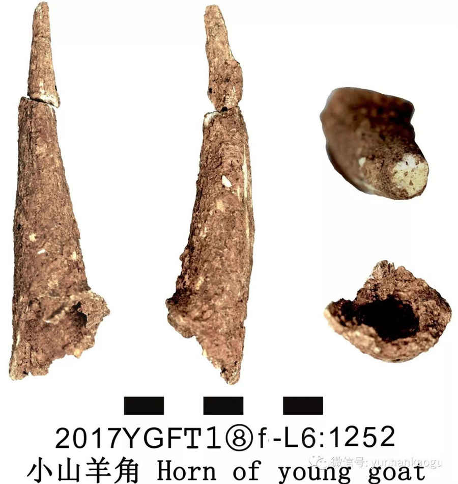 你真的知道搭讪是什么意思吗 搭讪的意思 你真的知道搭讪是什么意思吗 搭讪的意思