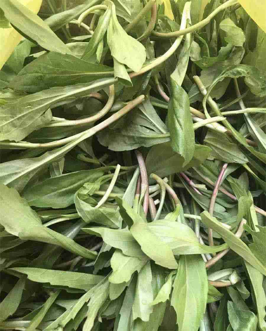 挖墙脚是什么意思?掌握挖墙脚攻略才能成功! 啥叫挖墙脚 挖墙脚是什么意思?掌握挖墙脚攻略才能成功! 啥叫挖墙脚