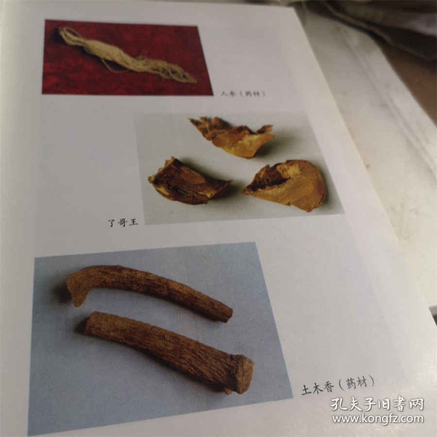 phi是哪个国家,PHI代表哪个国家 phi是哪个国家,PHI代表哪个国家