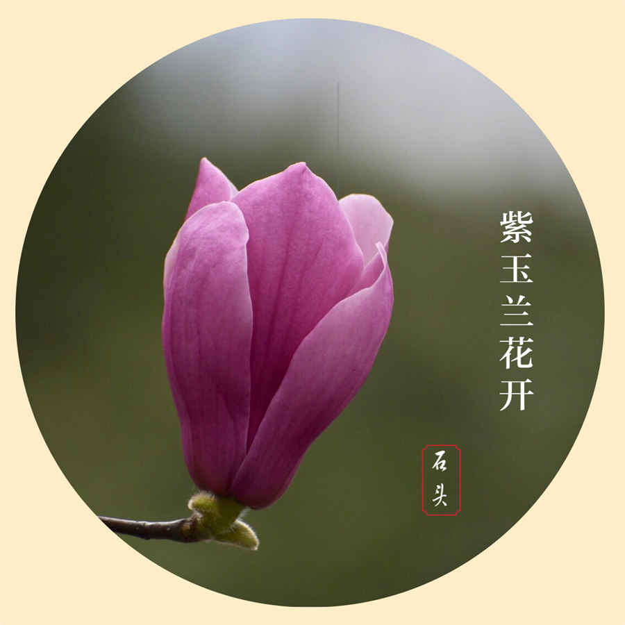 社保的办理流程是怎么样的 社保的办理流程是怎么样的
