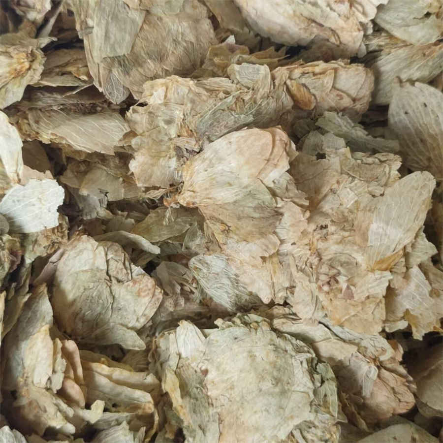 亚运会运动项目有哪些 亚运会运动项目有哪些