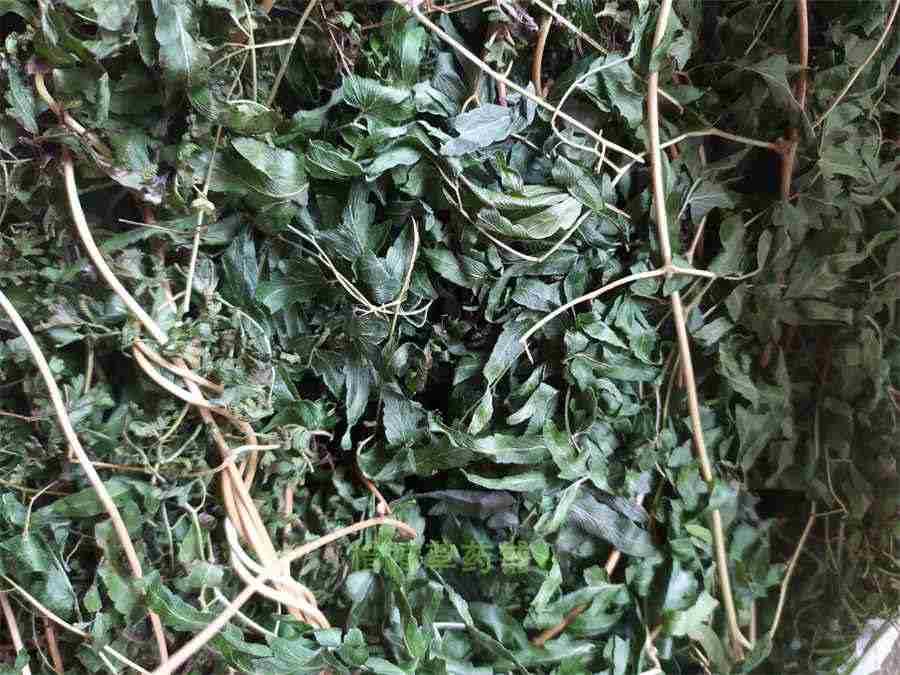 丑陋的陋的四字词语 丑陋的陋 丑陋的陋的四字词语 丑陋的陋