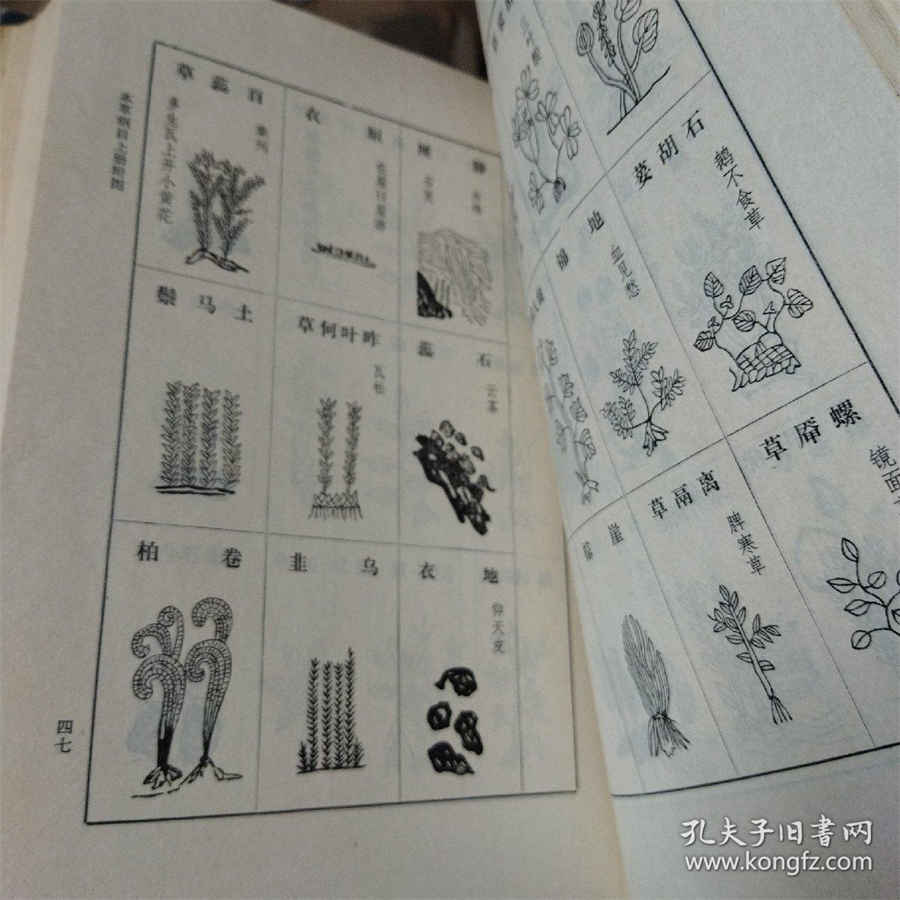 二手房东合法吗?法律知识 二手房东算不算诈骗 二手房东合法吗?法律知识 二手房东算不算诈骗