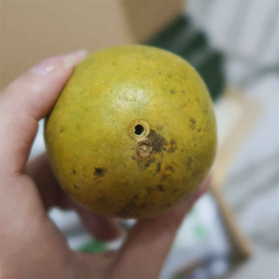性生活后腰酸的原因有哪些 性生活后腰酸的原因有哪些