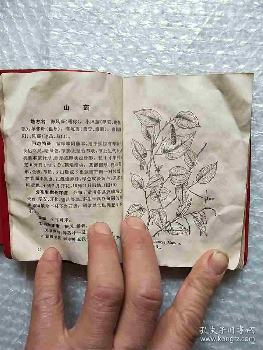 飞漱是什么意思飞漱的解释汉语词典