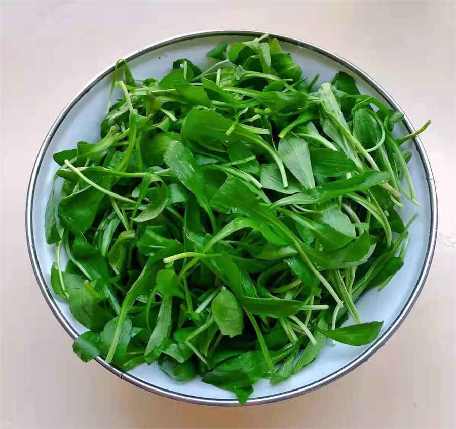 一般10万的欠款请律师大约多少钱 欠10万请律师起诉律师费要多少钱 一般10万的欠款请律师大约多少钱 欠10万请律师起诉律师费要多少钱