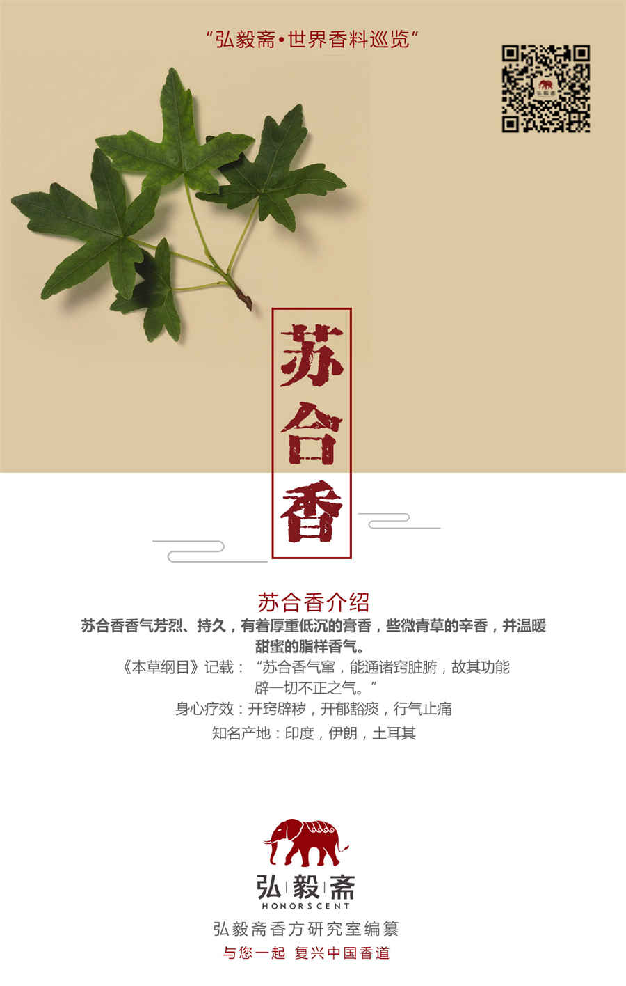 红参 红参性味归经 红参 红参性味归经