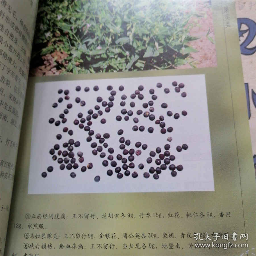 臭美网(关于臭美网的介绍) 臭美网下载 臭美网(关于臭美网的介绍) 臭美网下载