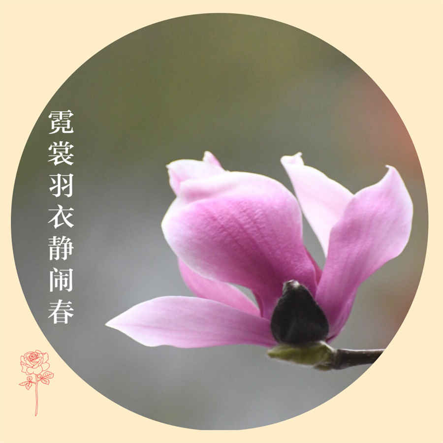 第六节 房事禁忌 母体淫源 第六节 房事禁忌 母体淫源