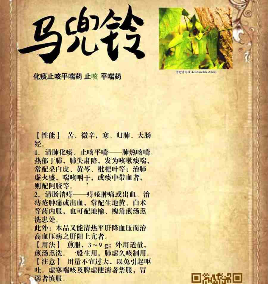 释小龙多大了 释小龙何洁分手原因揭秘 释小龙多大了 释小龙何洁分手原因揭秘