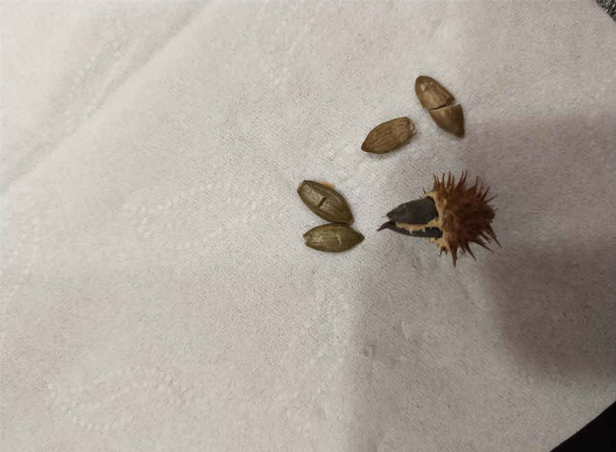 涤痰 涤痰 涤痰