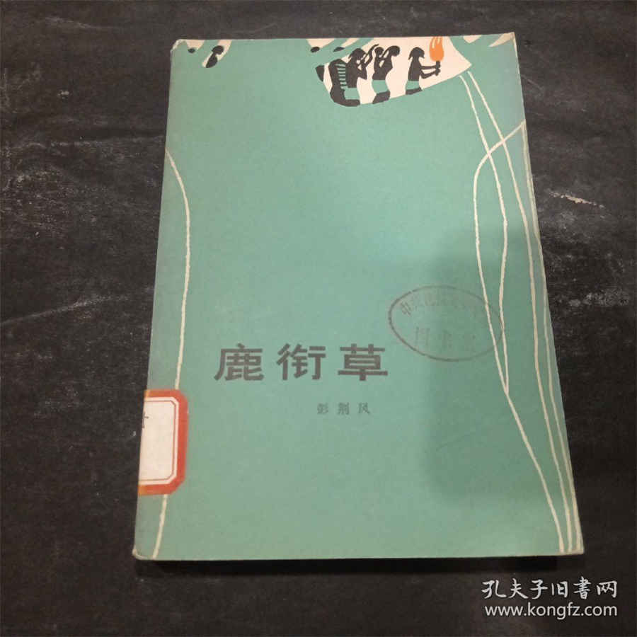 长毛狗冠毛犬 长毛狗冠毛犬