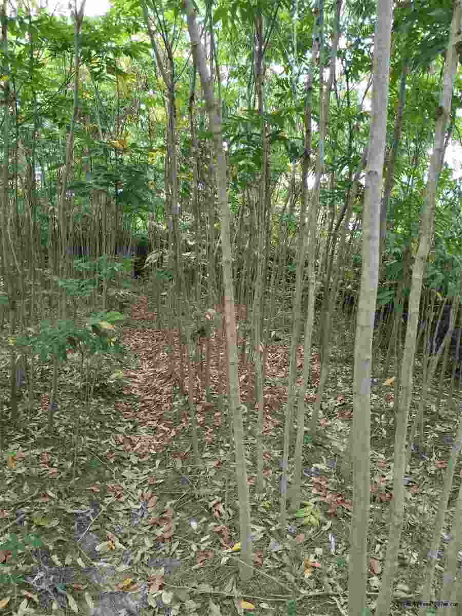 韩剧别在犹豫剧情介绍 韩剧别在犹豫剧情介绍